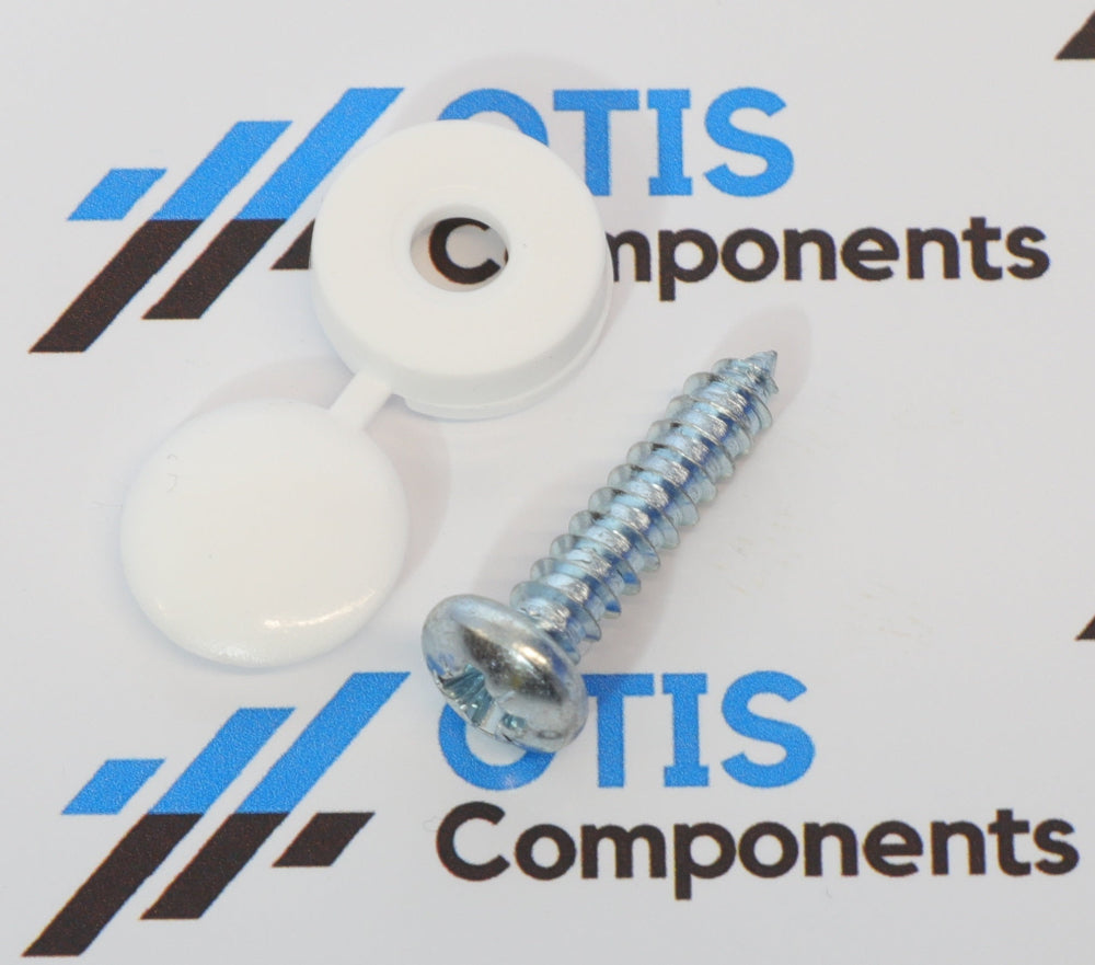 White Screws with Domes (Pack of 100) - Essential For Number Plate Printing